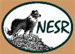 NESR-logo.jpg